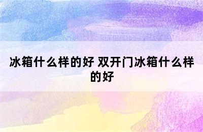 冰箱什么样的好 双开门冰箱什么样的好